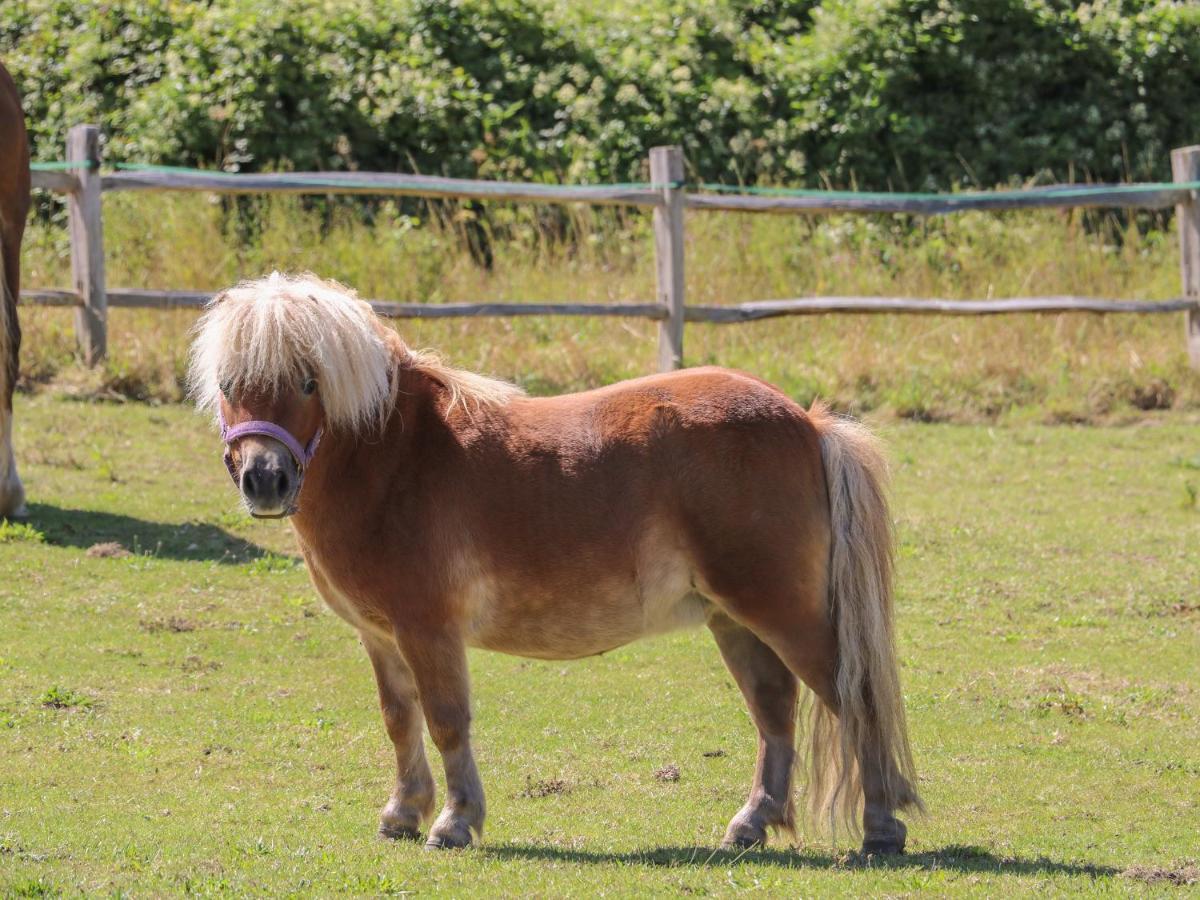1 Paythorne Farm Cottages Henfield Luaran gambar